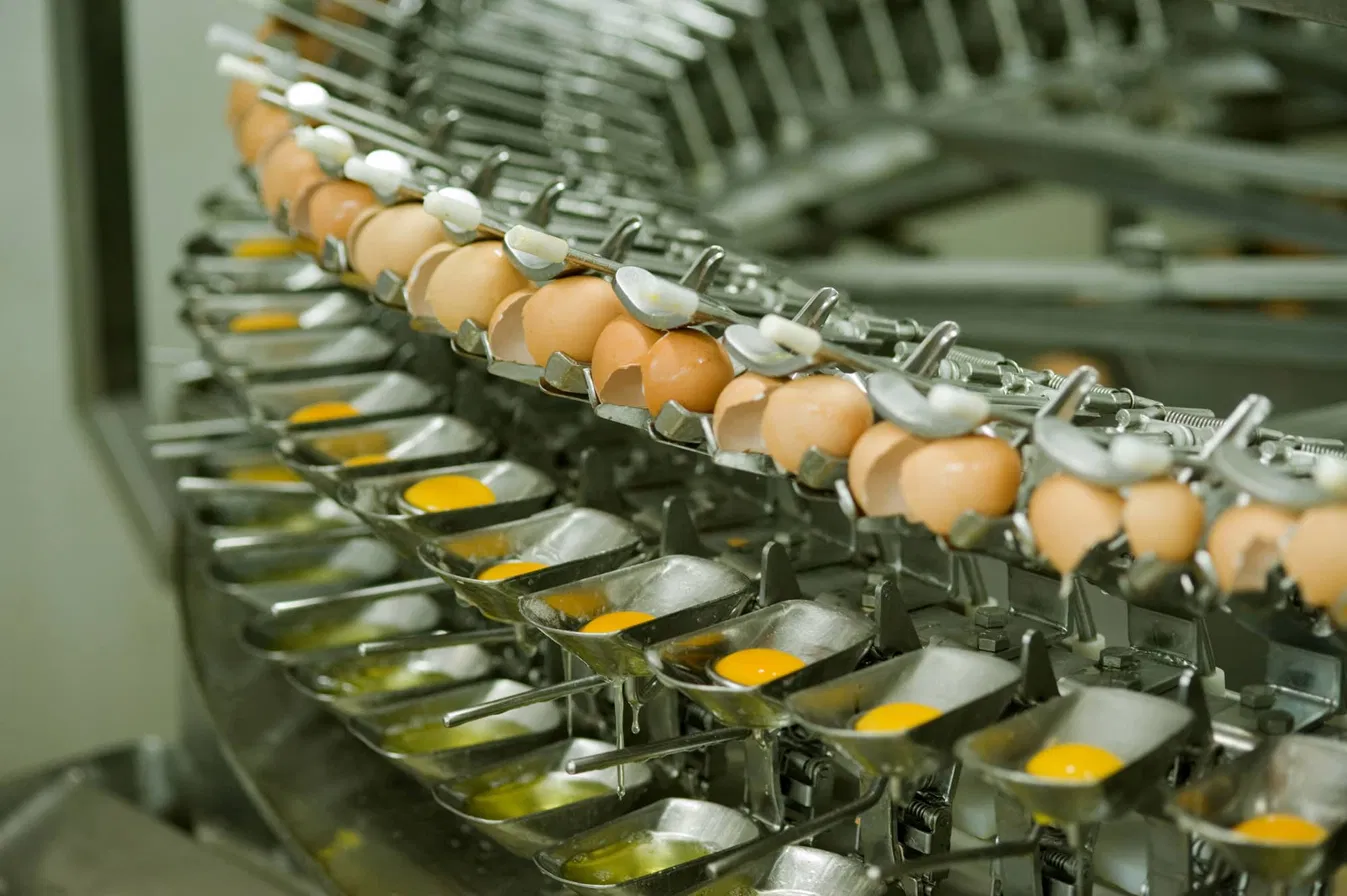 Línea de producción industrial de ovoproductos Ovodex PYJ Foods